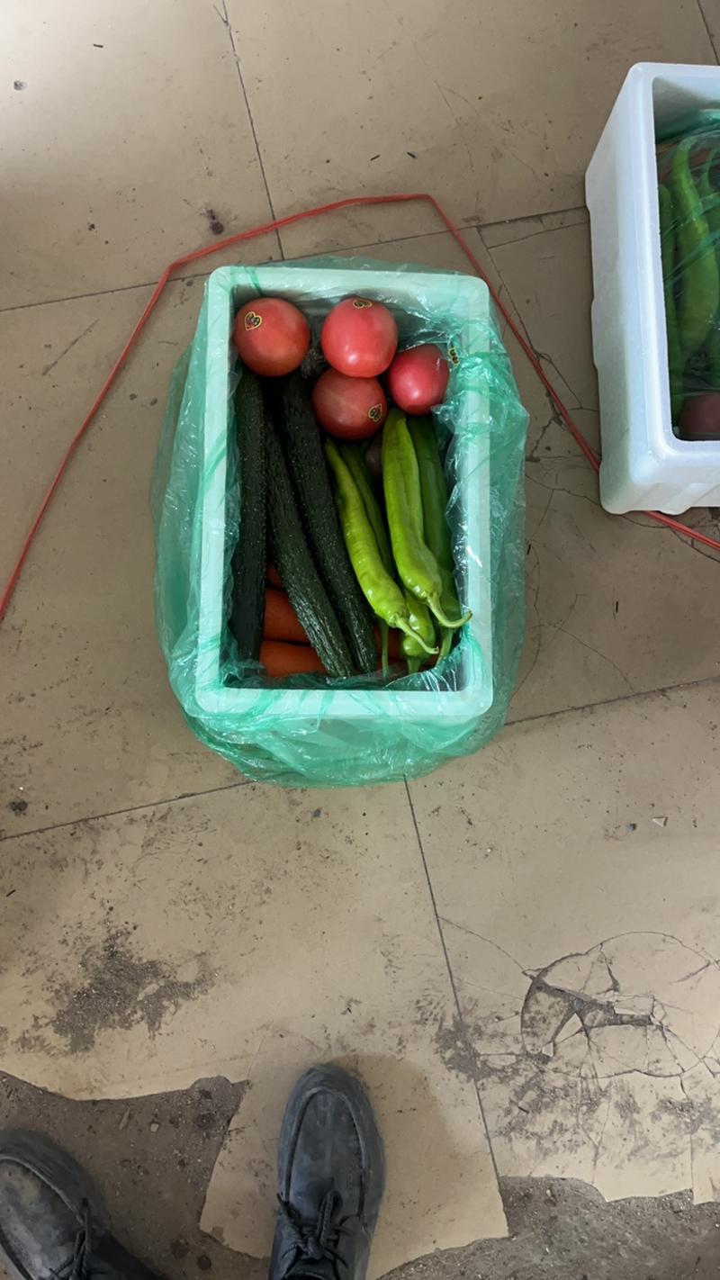 寿光蔬菜礼包套菜礼盒社区团购专疫情灾区可发样品