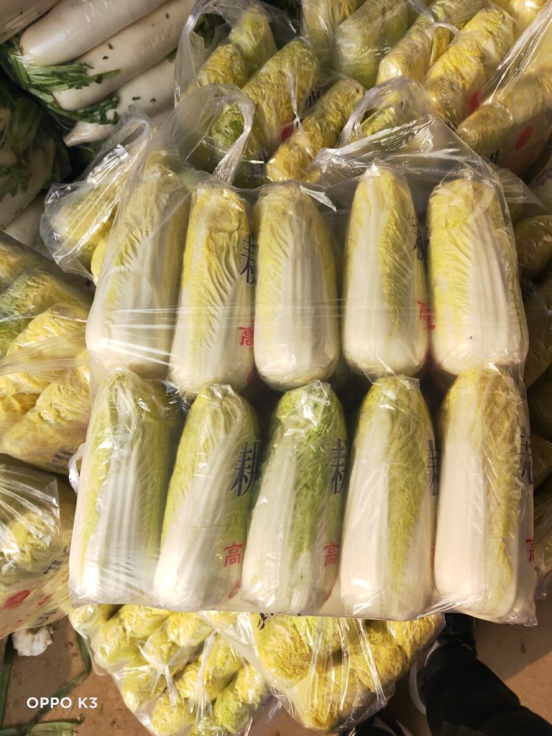 河北邯郸精品娃娃菜产地直发大小娃娃菜都有