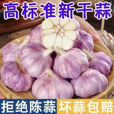 山东大蒜自有冷库品质保证诚信经营欢迎联系接商超市场电商