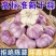 山东大蒜自有冷库品质保证诚信经营欢迎联系接商超市场电商