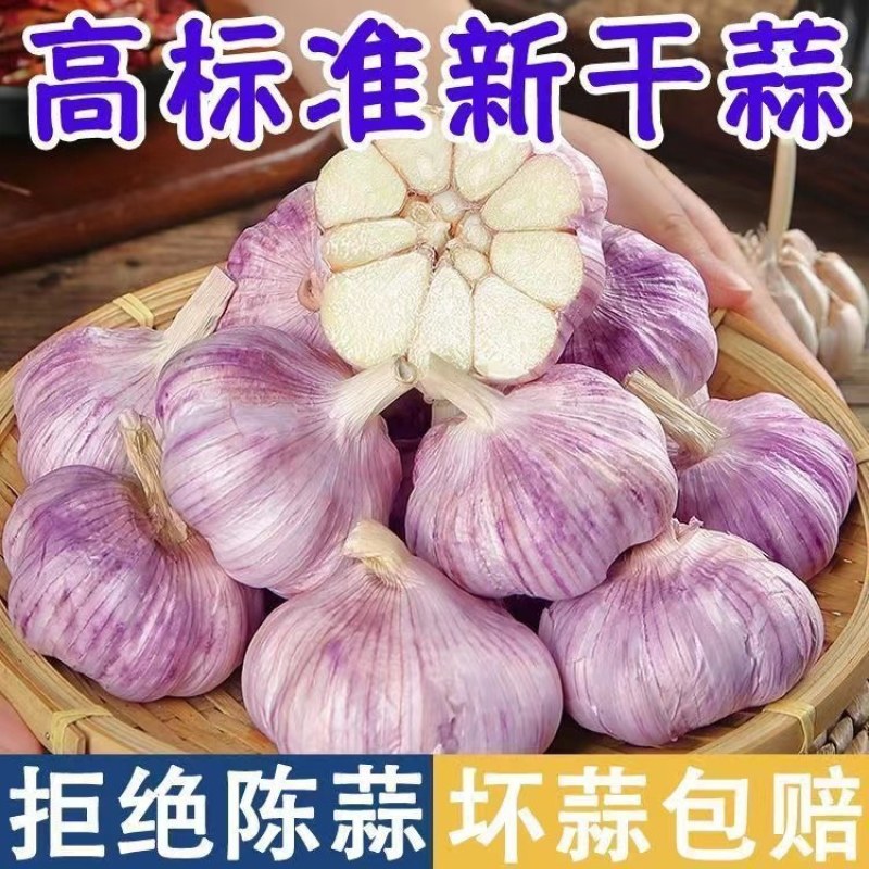 山东大蒜自有冷库品质保证诚信经营欢迎联系接商超市场电商