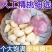 山东大蒜自有冷库品质保证诚信经营欢迎联系接商超市场电商