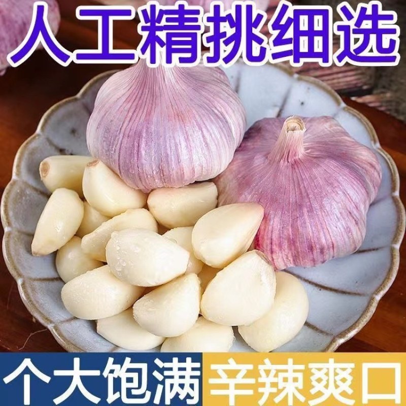山东大蒜自有冷库品质保证诚信经营欢迎联系接商超市场电商
