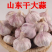 山东大蒜自有冷库品质保证诚信经营欢迎联系接商超市场电商