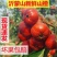 平邑精品山楂品质保证诚信经营欢迎联系接商超市场电商