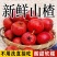 山东山楂品质保证欢迎联系接商超市场电商一手货源