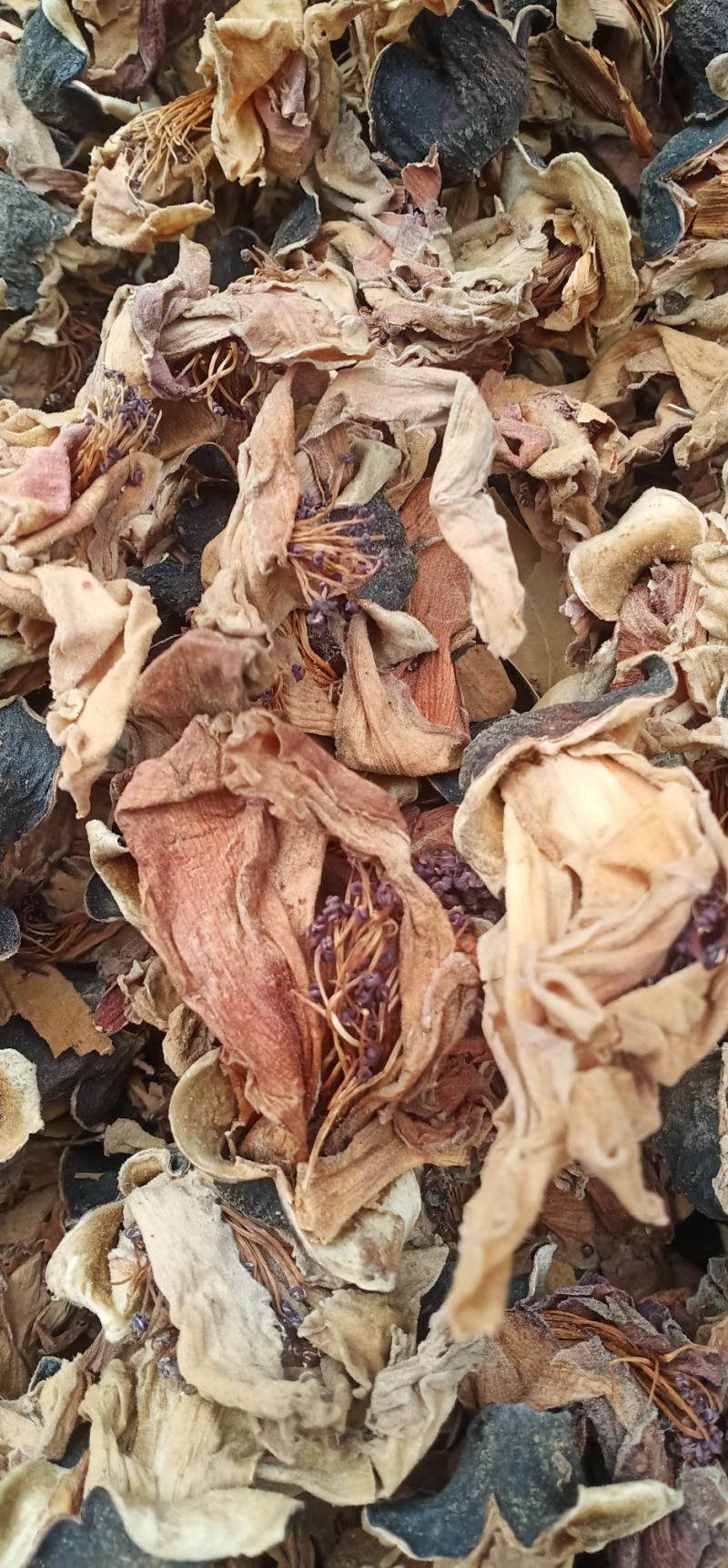 木棉花质量保证货源充足