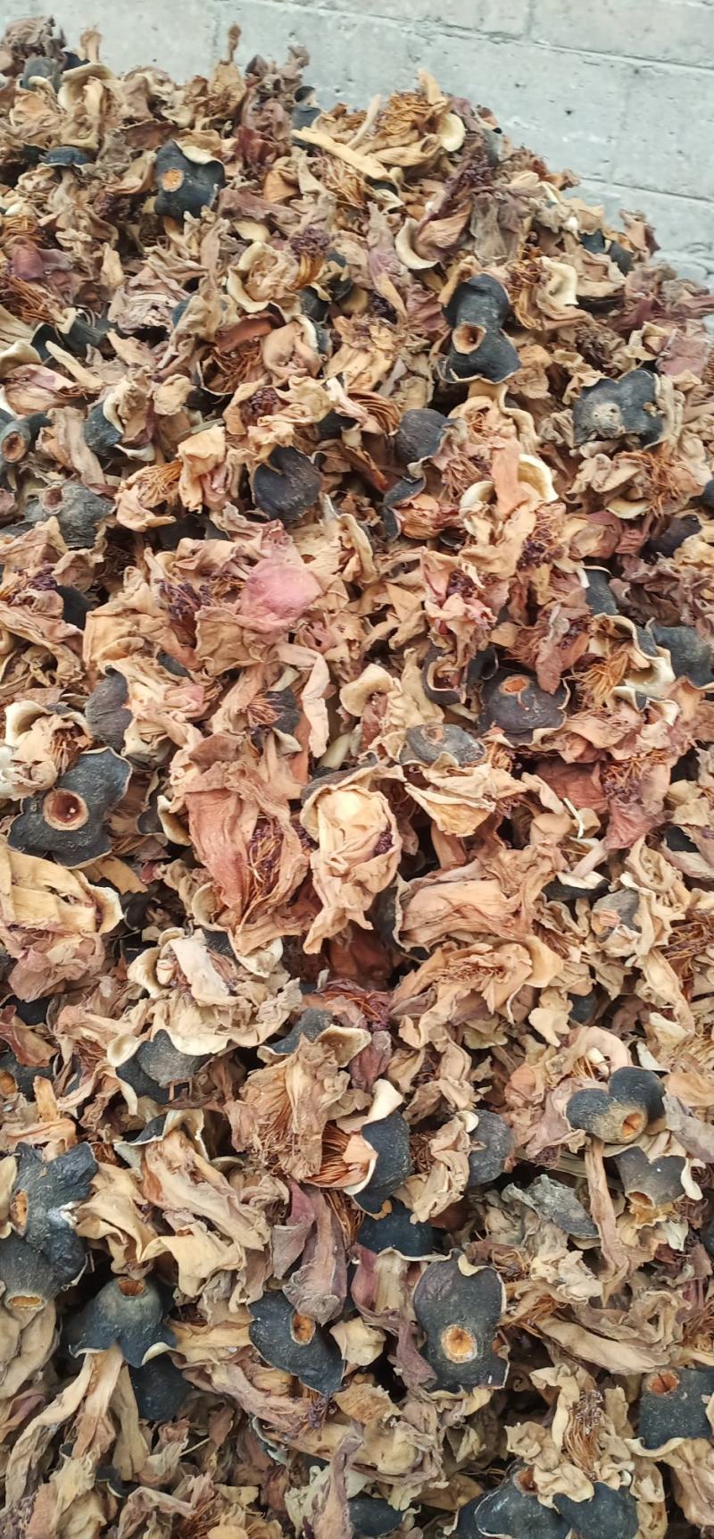 木棉花质量保证货源充足