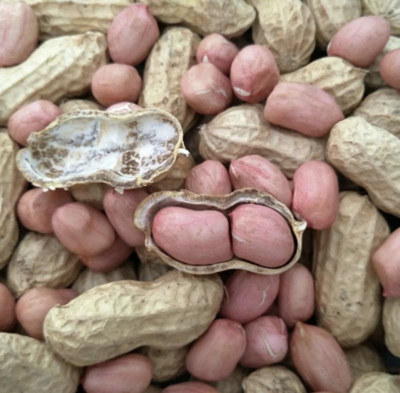 干花生果，有罗汉果系列，白沙果系。干货带壳