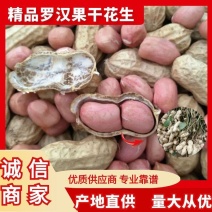 带壳罗汉果花生干货带壳颗粒饱满，色度亮堂量大从优