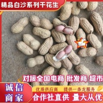 大粒干花生，大小白沙果，一手货源价格实惠颗粒饱满