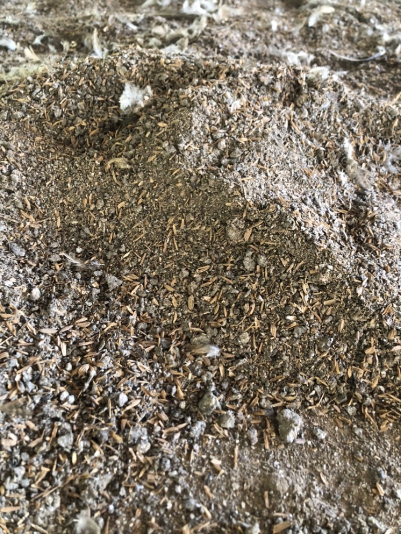 干鸡粪谷壳鸡粪，常年大量供应，一手货源，货源充足欢迎咨询