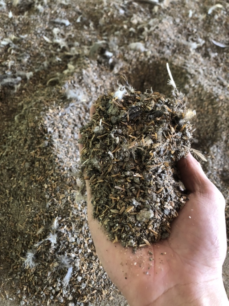 干鸡粪谷壳鸡粪，常年大量供应，一手货源，货源充足欢迎咨询