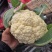 【精品菜花批发】青梗白面小米粒，散花，商超，新鲜上市