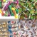 糖果厂家地摊称斤糖果年货精品糖果混搭硬糖软糖酥糖货源批发