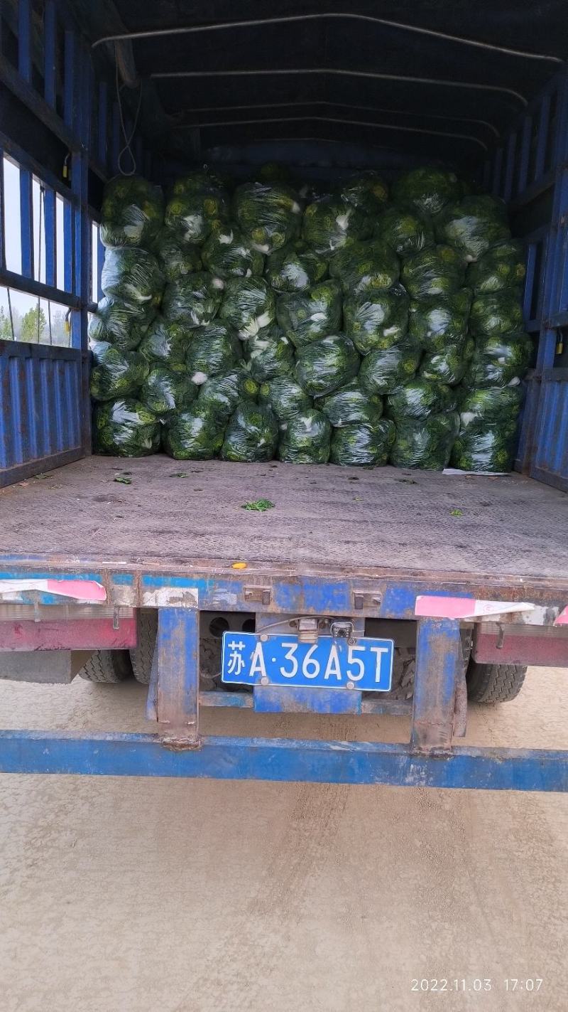 诚信做人用心做菜！专业从事黄心菜20年！期待与您合作共赢