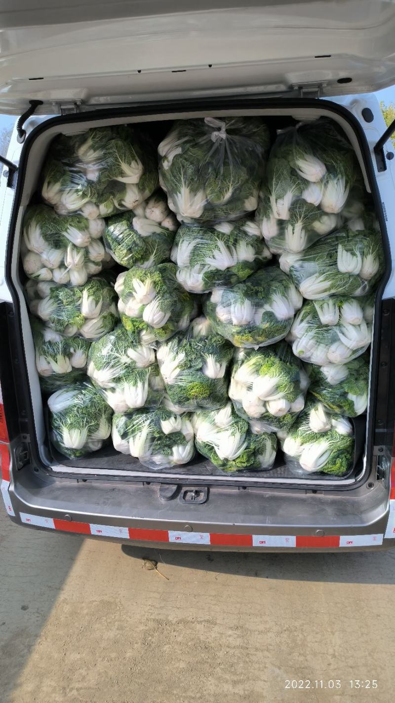 诚信做人用心做菜！专业从事黄心菜20年！期待与您合作共赢