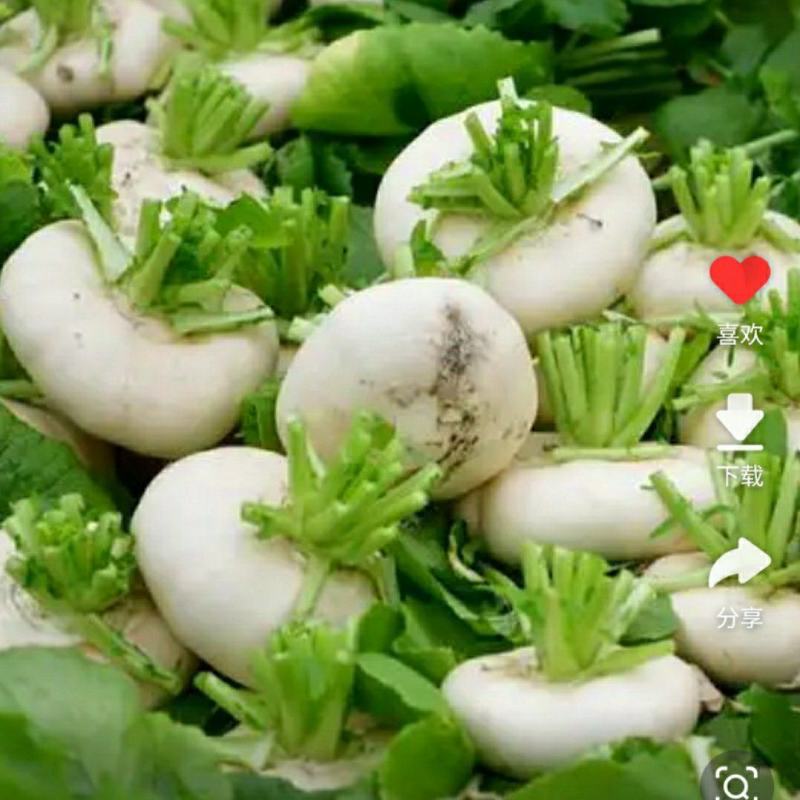 盘菜大量供应
