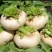 盘菜大量供应