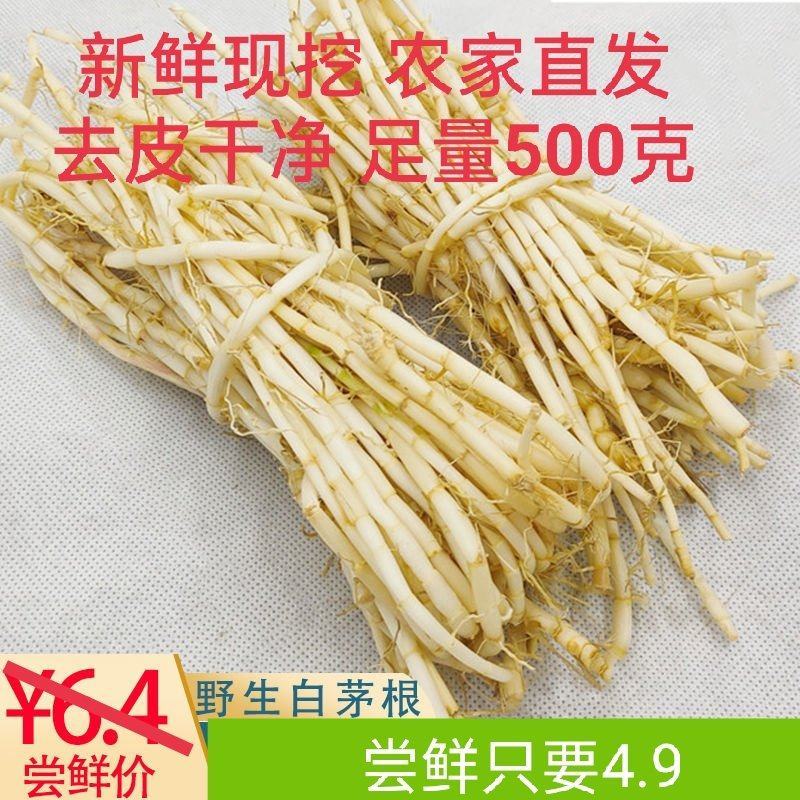 白茅根新鲜野生现挖茅根竹蔗马蹄茅根水甜茅根凉茶中草药食材