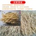 白茅根新鲜野生现挖茅根竹蔗马蹄茅根水甜茅根凉茶中草药食材
