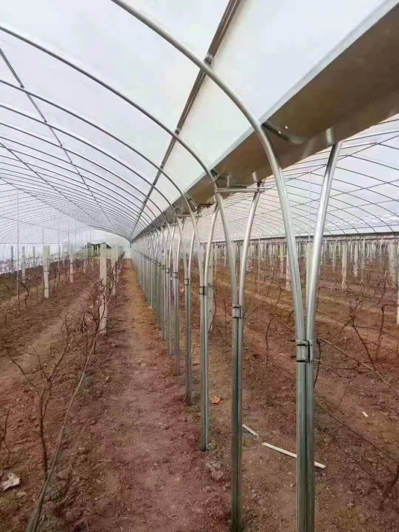 大棚管发货大棚一站式服务规格齐全可定制，欢迎咨询下单