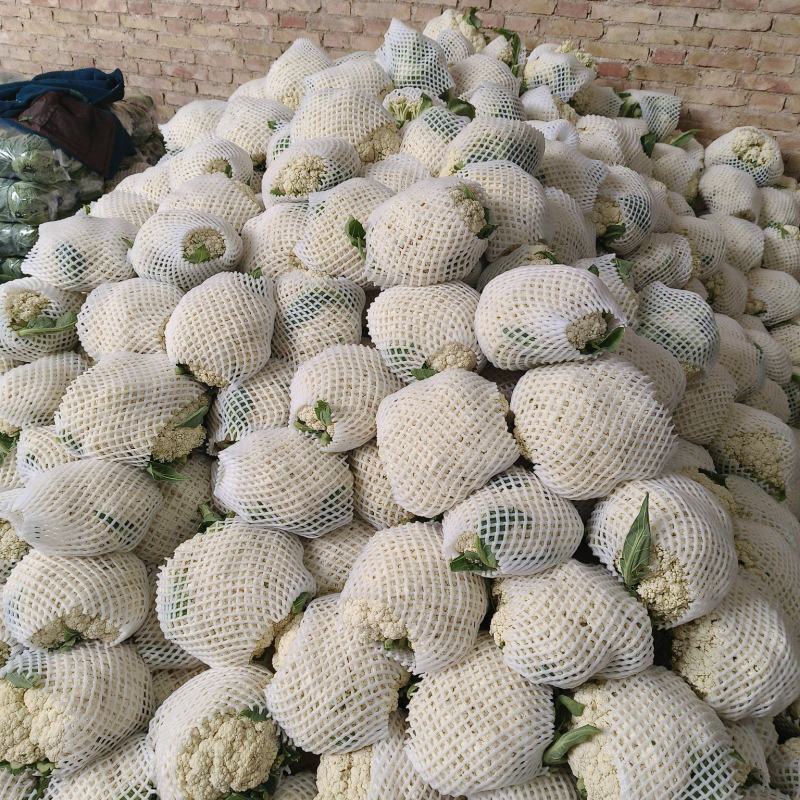 套袋有机菜花青更面白，精品，货源充足，耐运逾，等特点，