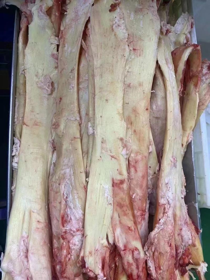 山东济南商河牛板筋，大量有货，欢迎老板致电联系，洽谈合作