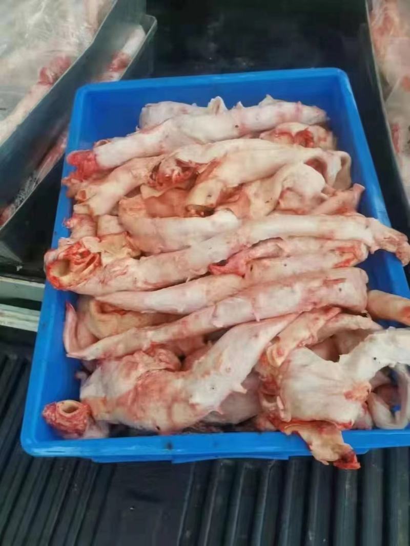 山东济南商河牛心管量大从优自家生产欢迎致电合作