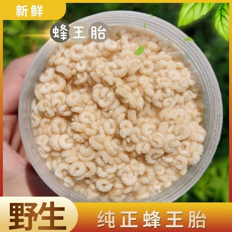 新鲜蜂王胎天然野生幼蜂虫蜂蛹保养卵巢呵护女性