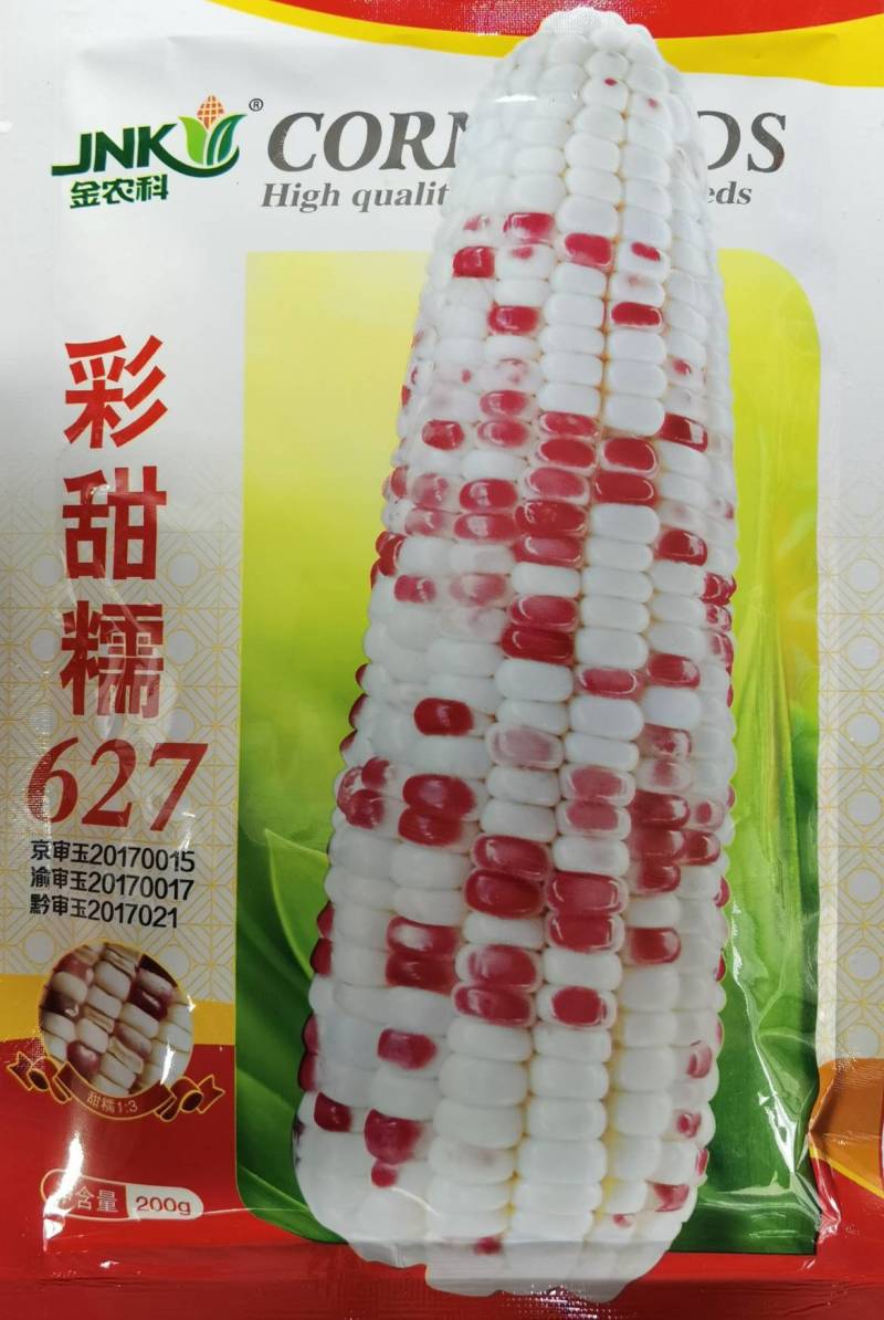 彩甜糯627彩糯玉米种子特大穗薄皮软糯香甜彩色玉米种子