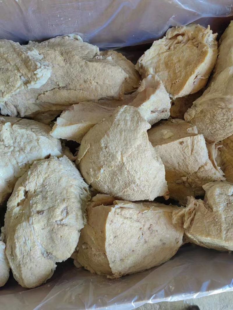 山东济南商河牛奶渣量发从优欢迎致电洽谈合作