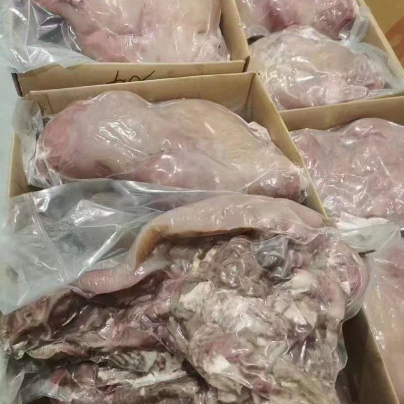 山东济南商河牛头肉量大从优欢迎致电洽谈合作