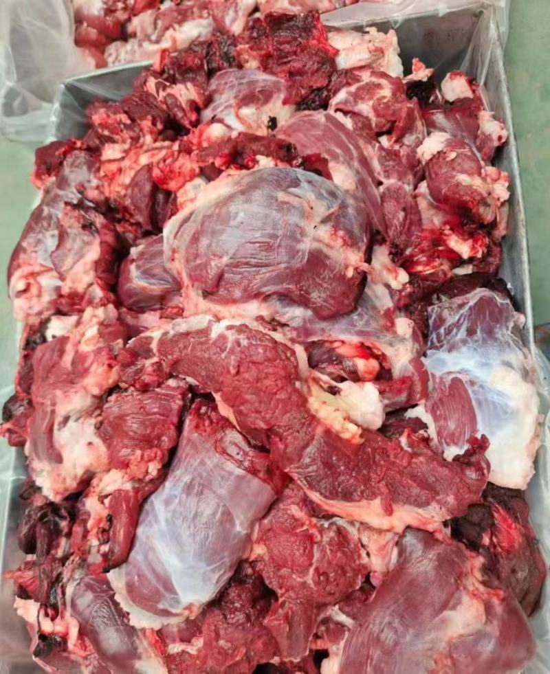山东济南商河牛碎肉量大从优厂里直接发货欢迎各位采