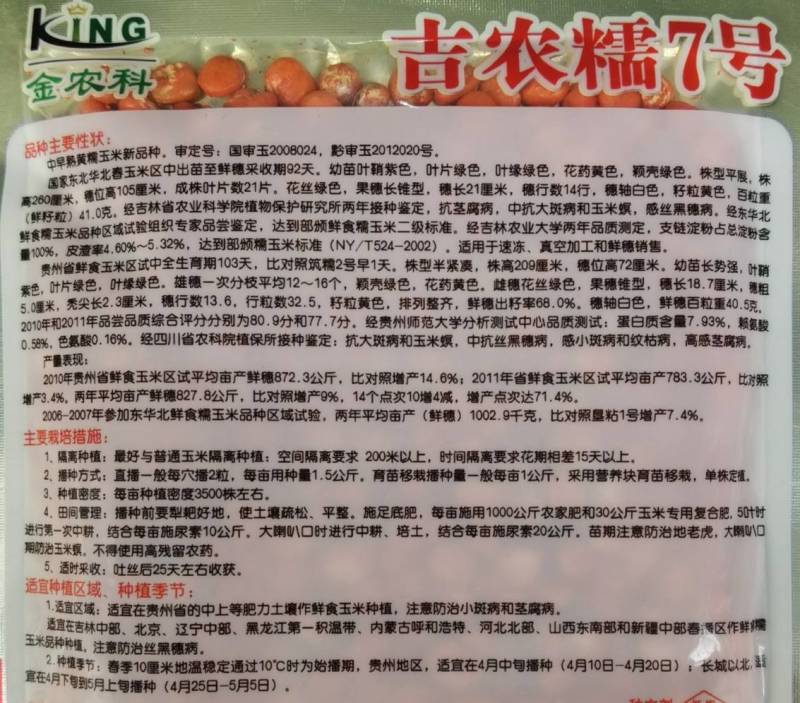 吉农糯7号黄糯玉米种子早熟大棒黄粘甜糯薄皮黄玉米种子