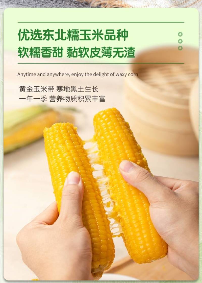 吉农糯7号黄糯玉米种子早熟大棒黄粘甜糯薄皮黄玉米种子