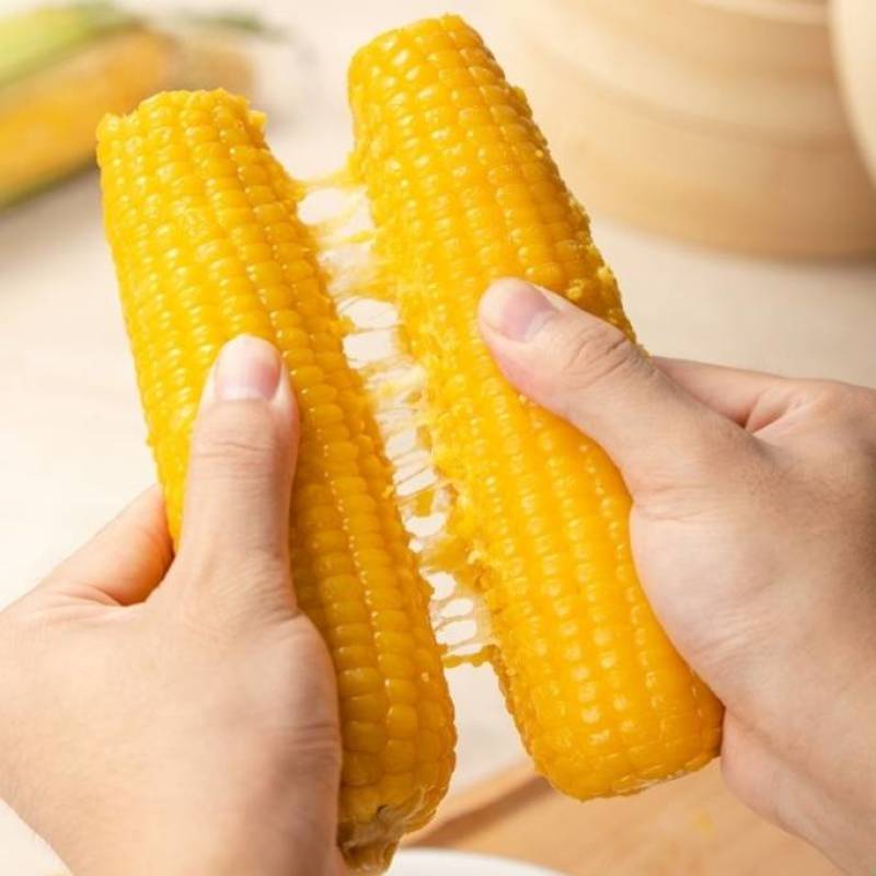 吉农糯7号黄糯玉米种子早熟大棒黄粘甜糯薄皮黄玉米种子