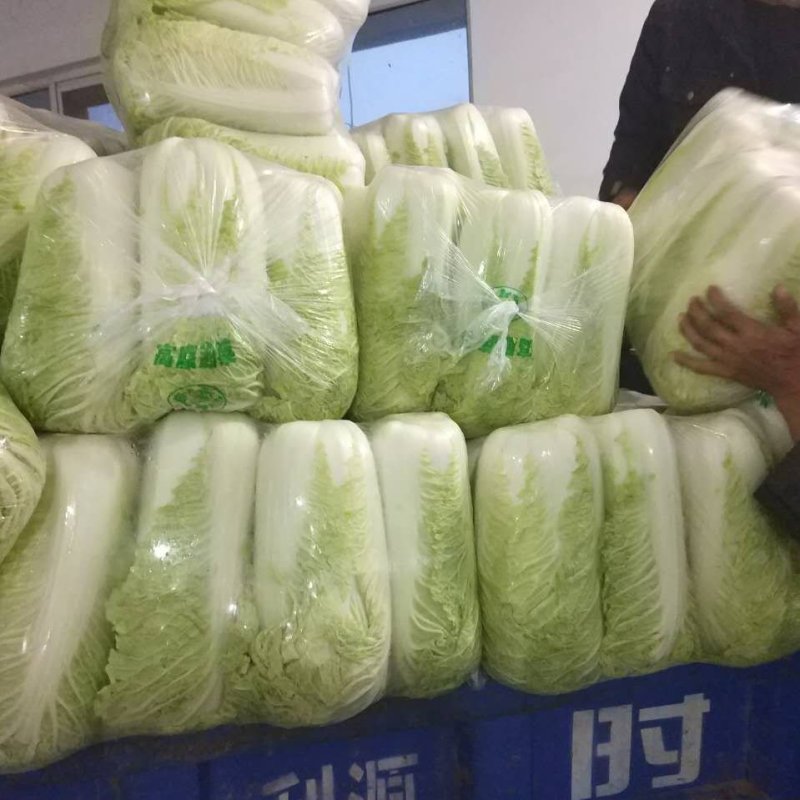 精品黄心大白菜，全国发货，货源充足，质量上称