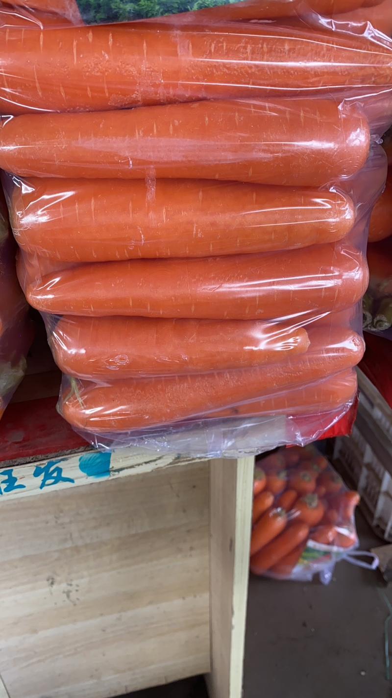 河北邯郸本地胡萝卜大量现货可视频在线观看量大从优
