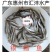 银鳕鱼苗，大鳞鲃银鳕鱼苗，技术支持！全国发货！
