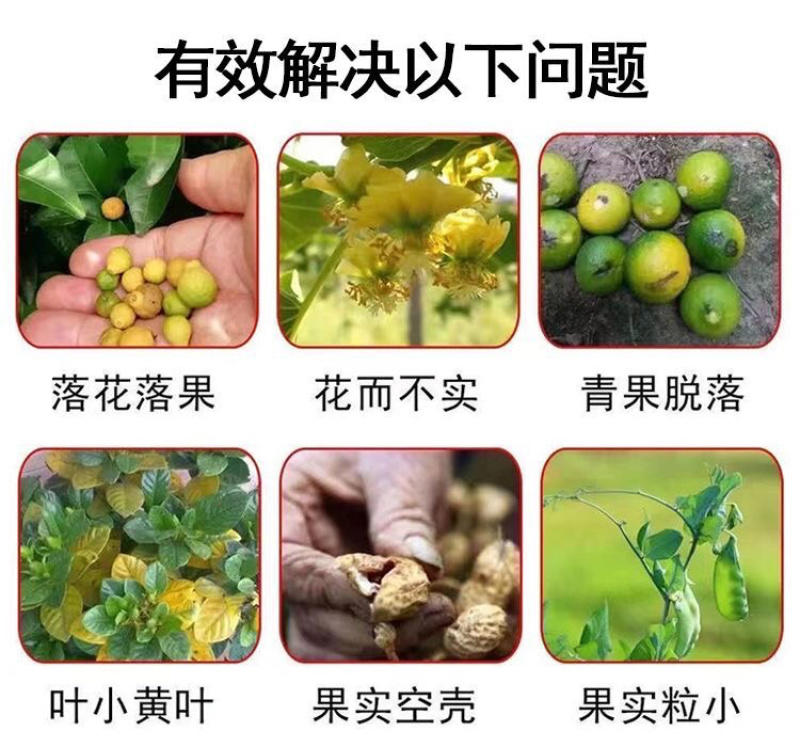 鲁丰颗粒硼肥促进开花结果提高坐果率减少畸形果撒施