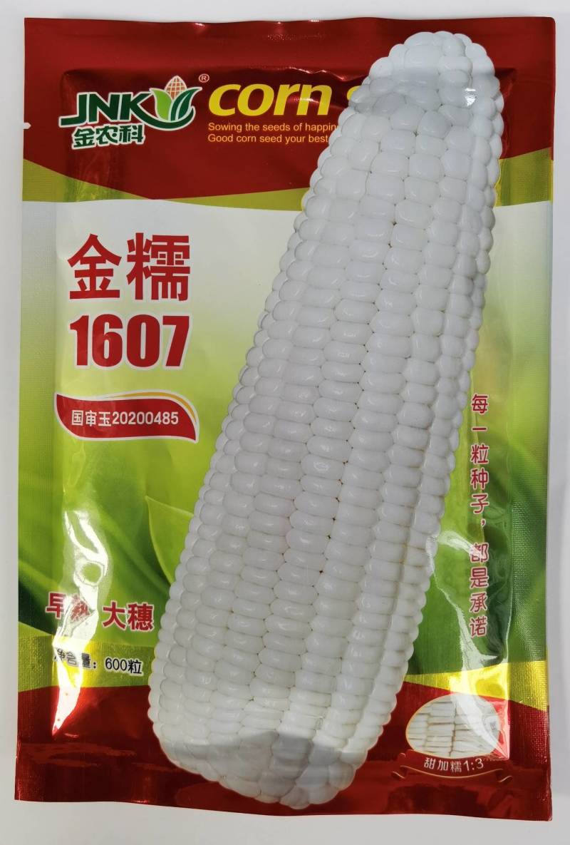 极早熟糯玉米种子金糯1607甜加糯大棒香甜白糯粘玉米种