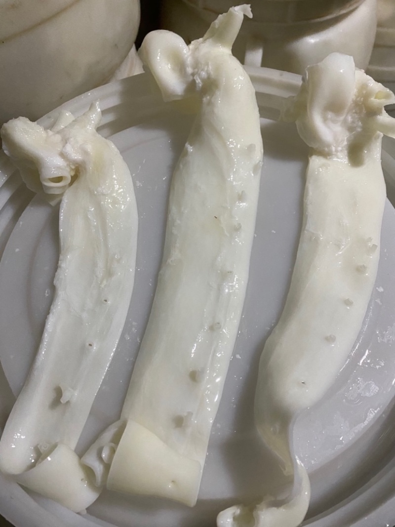 猪心管