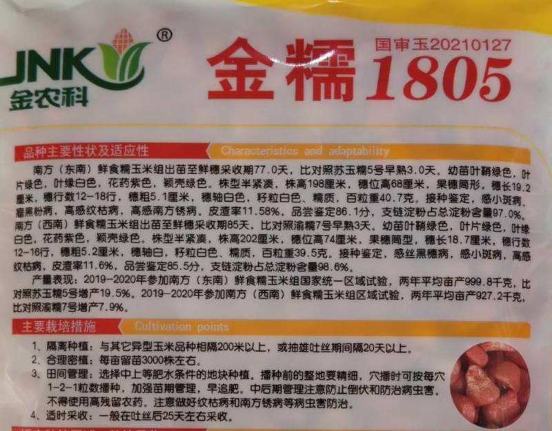 金糯1805特大棒甜糯玉米种子早熟大穗白粘糯苞谷玉米种子