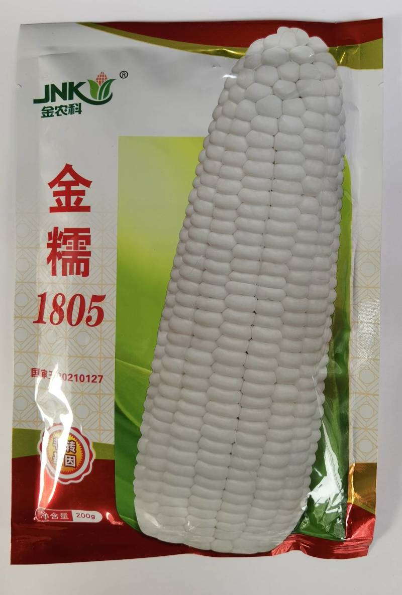 金糯1805特大棒甜糯玉米种子早熟大穗白粘糯苞谷玉米种子