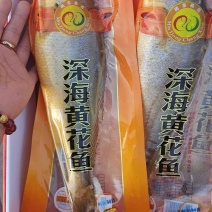 深海黄花鱼！船冻及时！质量杠杠的！红烧酱炖清蒸都好吃