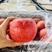 山东口感脆甜条纹红富士苹果产地直发大量现货