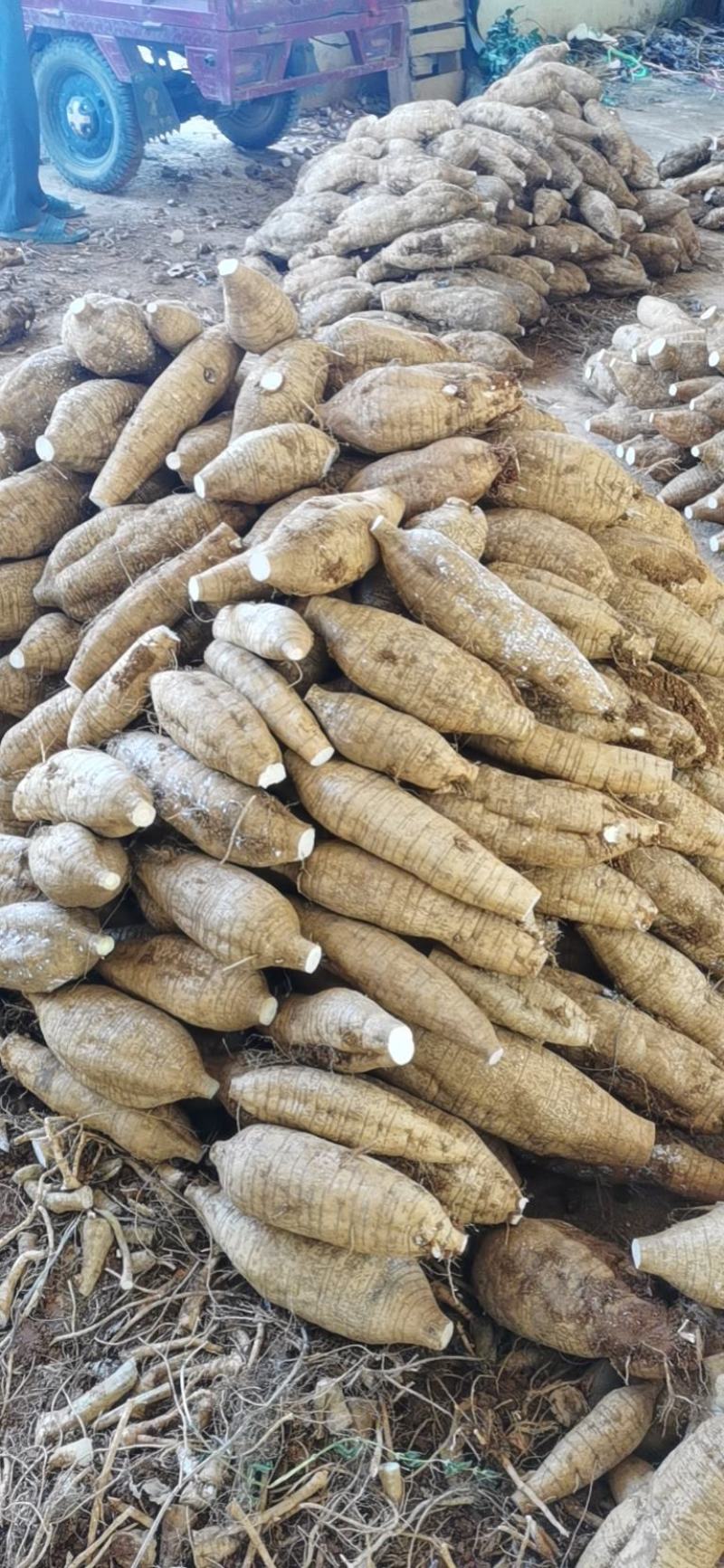 一件代发粉葛鲜葛根基地直发价格优势，可代办葛根