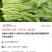 空心菜