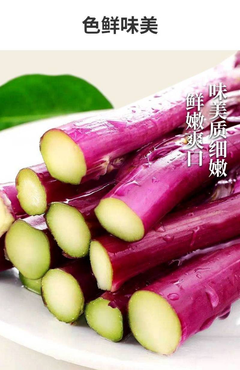 精品红菜苔白菜苔小叶红牛亮红一手货源基地直发鲜嫩爽口